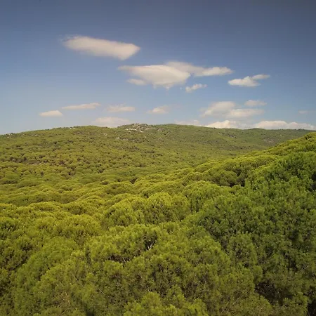 Kozakorman & Restaurant * Camoba