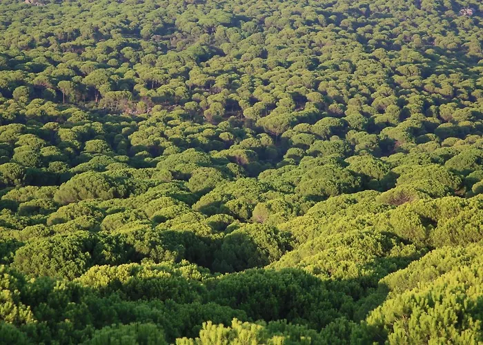 Hotel Kozakorman & Restaurant