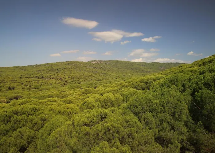 Kozakorman & Restaurant * Camoba