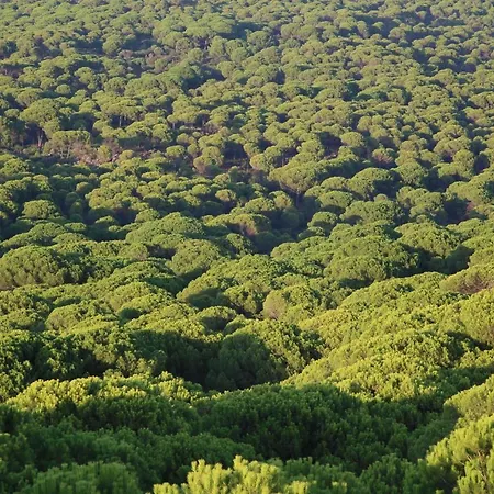 Otel Kozakorman & Restaurant