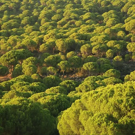 Kozakorman & Restaurant * Camoba