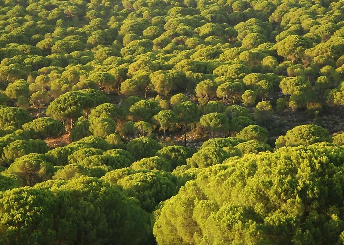 Kozakorman & Restaurant * Camoba